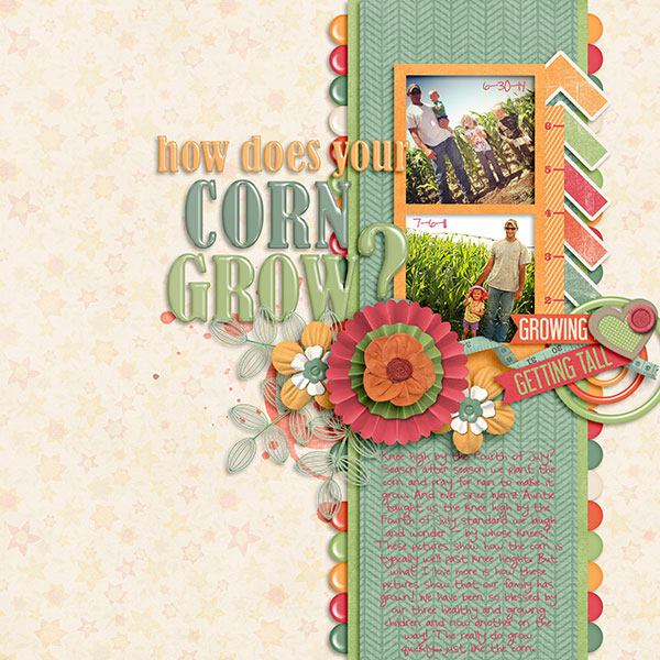 How does your Corn grow?