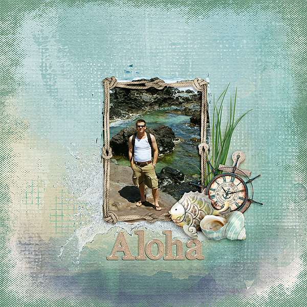 Aloha on the Rocks