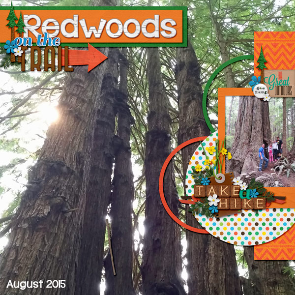 August-Redwoods1WEB