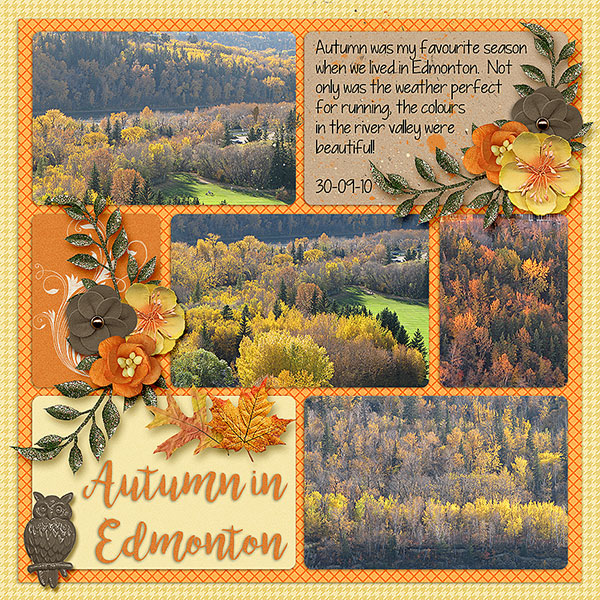 Autumn in Edmonton