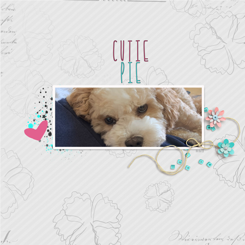 Cutie-pie5