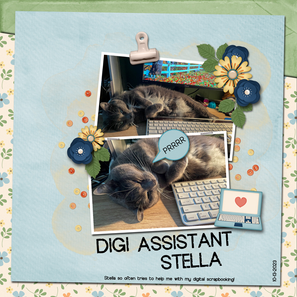 Digi Assistant