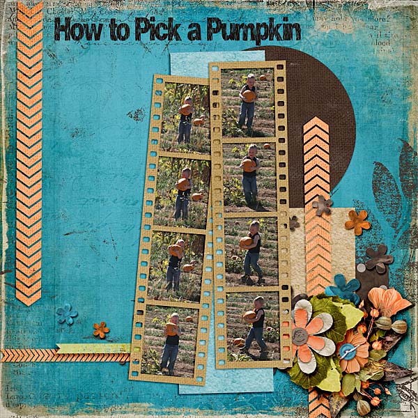 How to Pick a Pumpkin