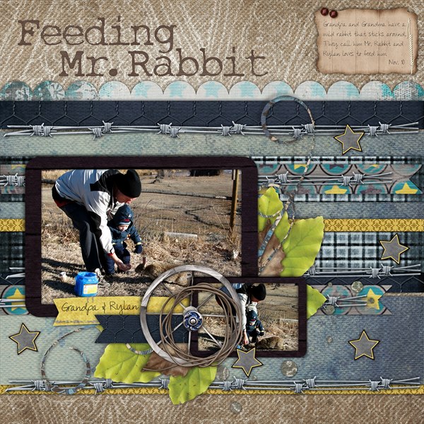 Feeding Mr. Rabbit