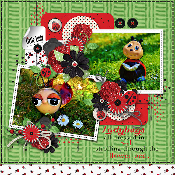 Garden-ladybugs