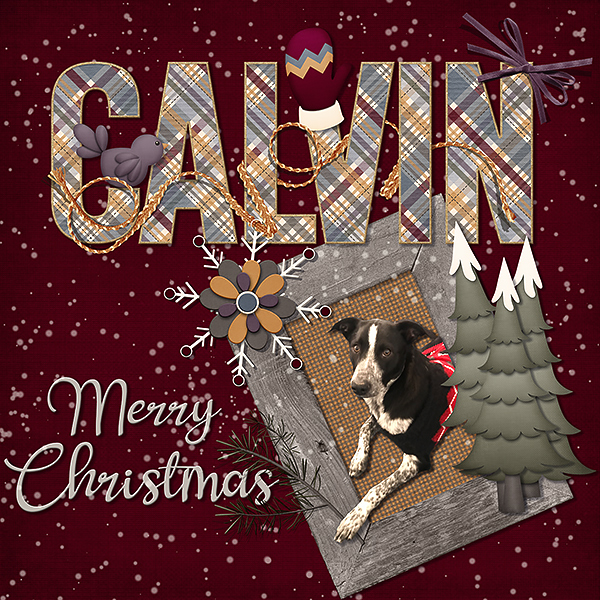 CALVIN - Merry Christmas