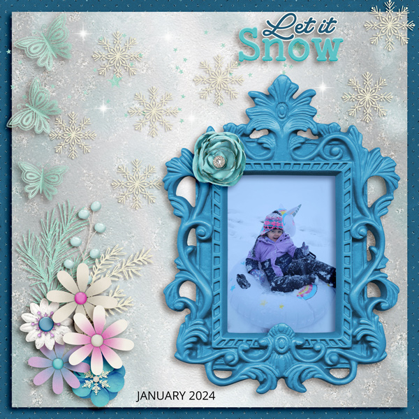 let it snow - neia insd 5-24