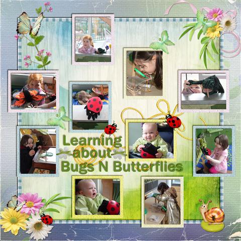 Learning about Bugs and Butterflies