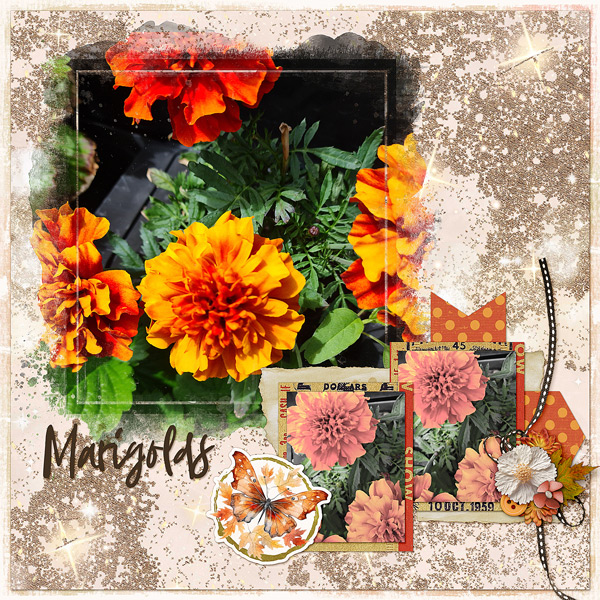 Marigolds