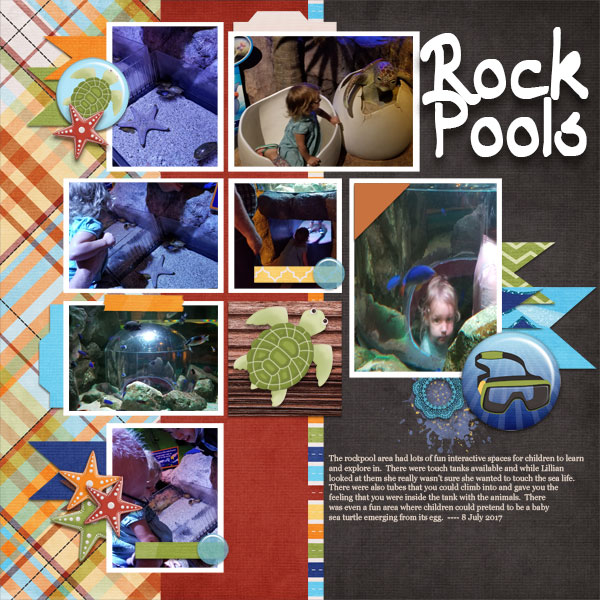 Rock Pools - 2/13