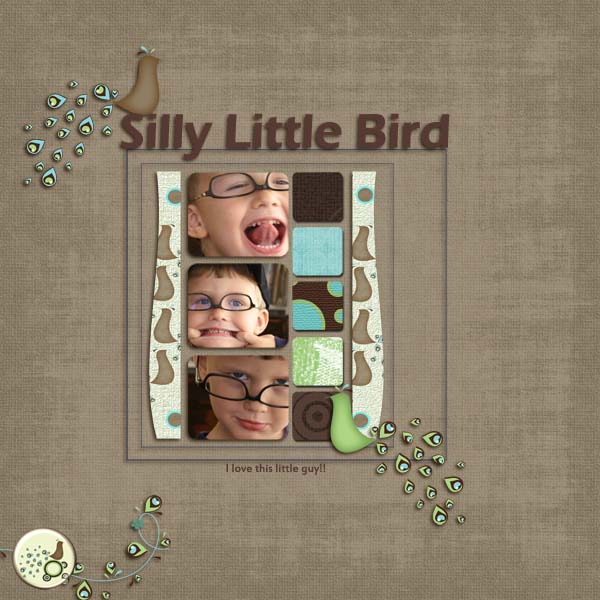 Silly Little Bird
