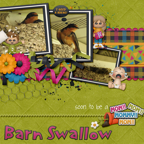 barn_swallow-manic_mom-day