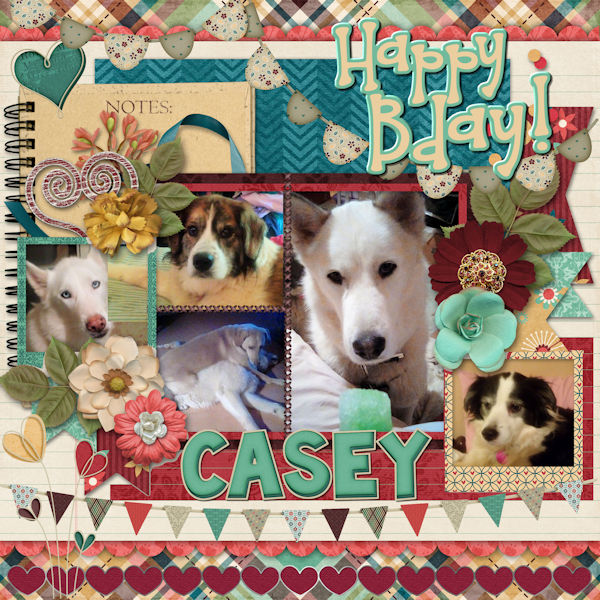 Happy Bday Casey