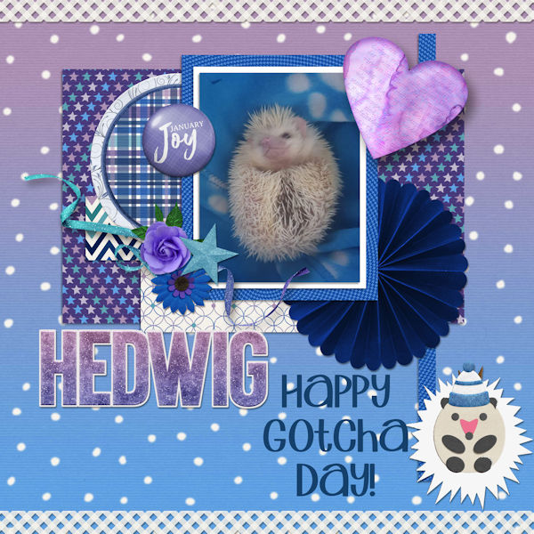 Happy Gotcha Day Hedwig!