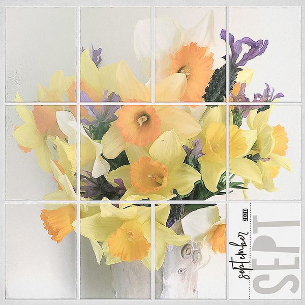 DAFFODILS - SEPTEMBER SPRING - PAGE 2