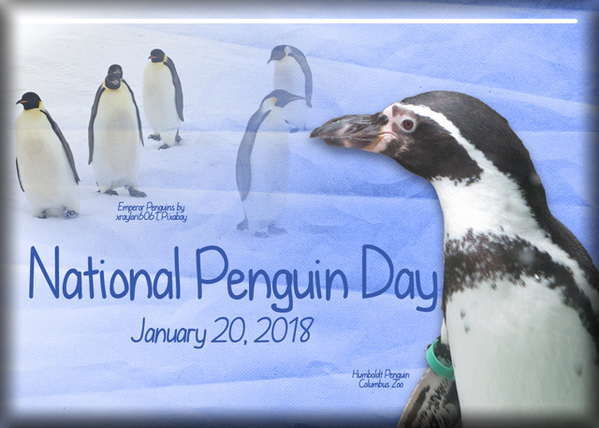 ATC 2018-011 National Penguin Day