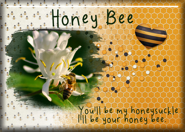 ATC 2017-034 Honey Bee