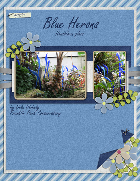 Blue Herons