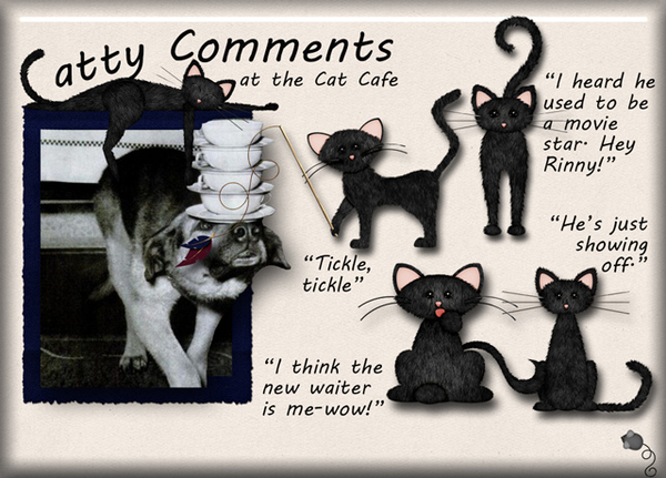 Catty Comments