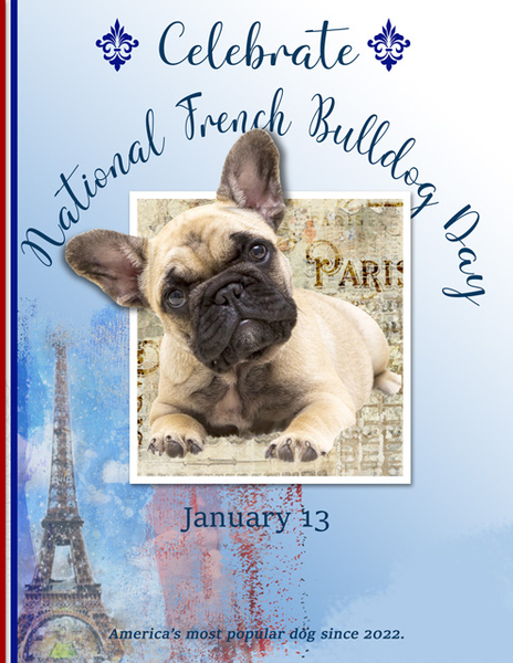 Celebrate National French Bulldog Day