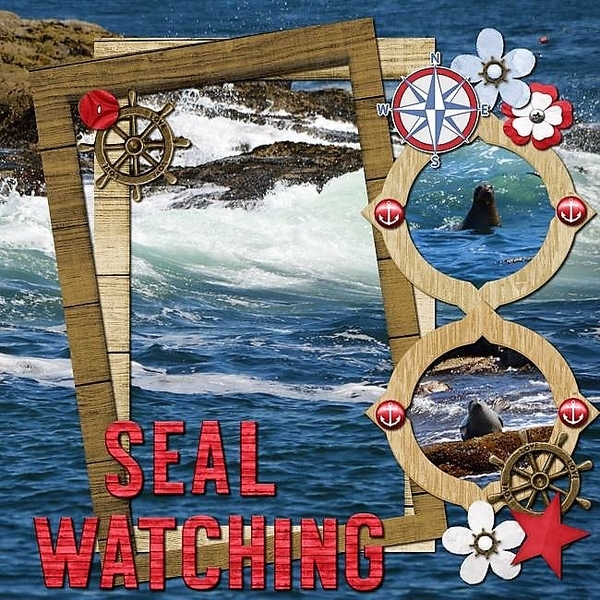 Seal Watch