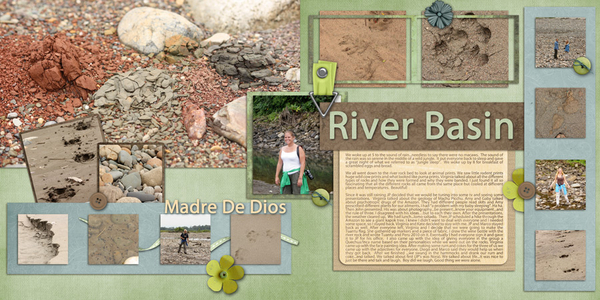 Madre De Dios River Basin - Peru