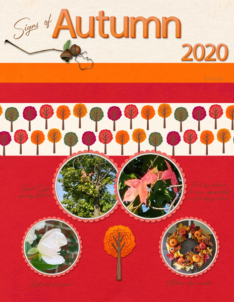 Signs of Autumn 2020
