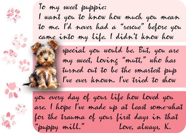 To My Sweet Puppie