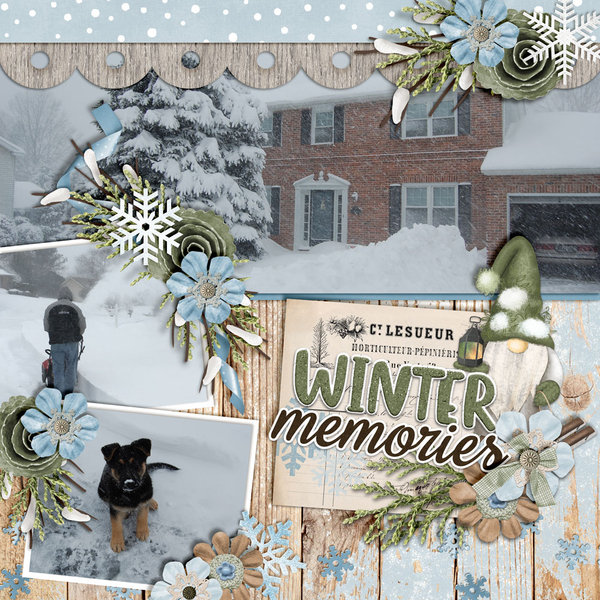 Winter-Memories10