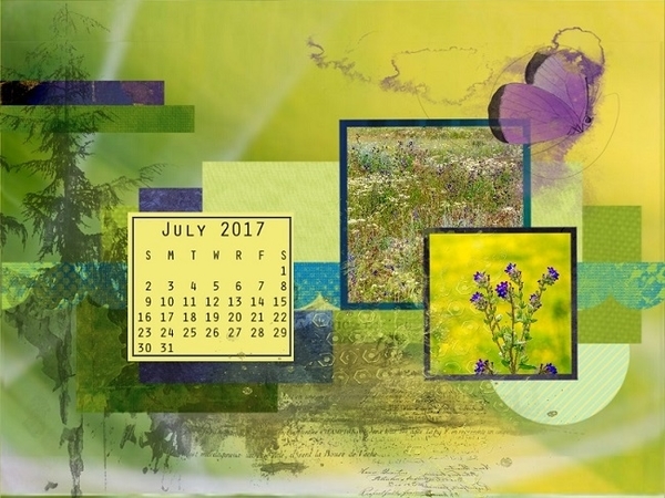 July 07 Desktop  challenge