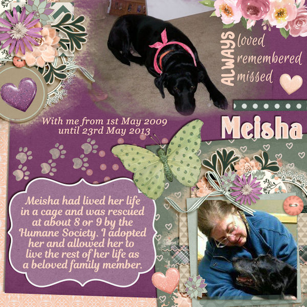 Remembering Meisha