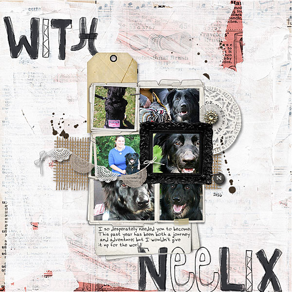 A Year With Neelix