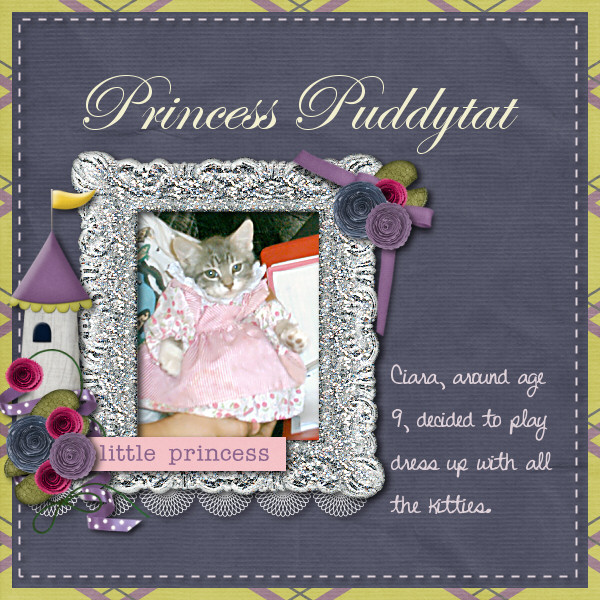 Princess Puddytat