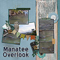 09---manatee-overlook-copy.jpg