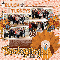 11-24-22-Bunch-of-Turkeys.jpg