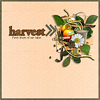 17-harvest-700.jpg