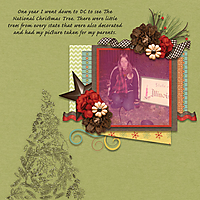 1970s_National_Christmas_Tree_Joyceweb.jpg