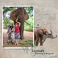 19_04_08_Elephant-Sanctuary-Hazyview_2_600X600.jpg