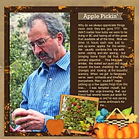 2-apple-picking.jpg