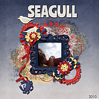 2010_SeaGull.jpg