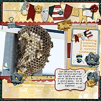 2013-09-wasp-nest.jpg