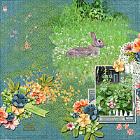 24_03_Garden_Bunny.jpg