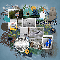 38_-_manatees_copy.jpg