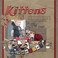 6-Case_Kittens_2012.jpg