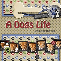 A_dogs_life.jpg
