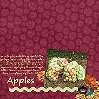 Apples9.jpg