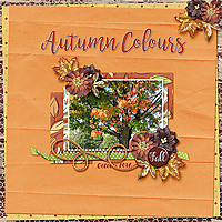 AutumnColours1.jpg