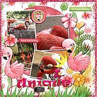 BG-flamingo-SCR-FlamingoRoad-Temp02-copy.jpg