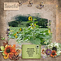 BOUNTIFUL---PHOTOMASK-CHALLENGE---MARCH-2022---WEB.jpg