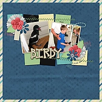 Baby-Bird-2012-med.jpg